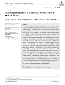 Wildlife Roadkill Patterns in a Fragmented Landscape of the Western Amazon