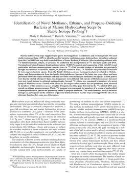 Identification of Novel Methane-, Ethane-, and Propane-Oxidizing Bacteria at Marine Hydrocarbon Seeps by Stable Isotope Probing