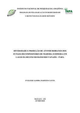 Diversidade E Produção De Antimicrobianos Dos Fungos Decompositores De Madeira Submersa Em Lagos Da Região Do Baixo Rio Tapajós – Pará