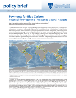 Payments for Blue Carbon: Potential for Protecting Threatened Coastal