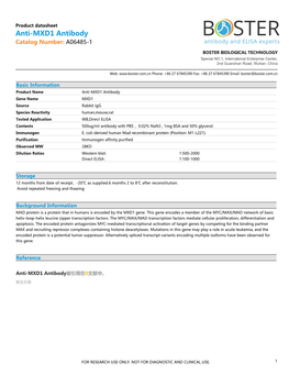 Datasheet A06485-1 Anti-MXD1 Antibody