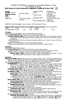 238 (WITH VAT) (IRE) Homage (GB) Sir Percy (GB) Blakeney SIREN's COVE Percy's Lass