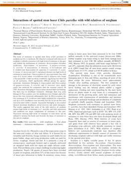 Interactions of Spotted Stem Borer Chilo Partellus with Wild Relatives of Sorghum