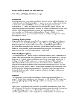 Hydrocephalus in Canine and Feline Patients