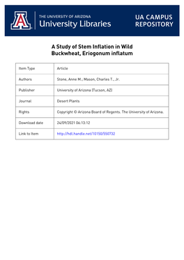 Stem Inflation in Wild Buckwheat, Eriogonum Inflatum