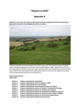 “Ringmer to 2030” Appendix A