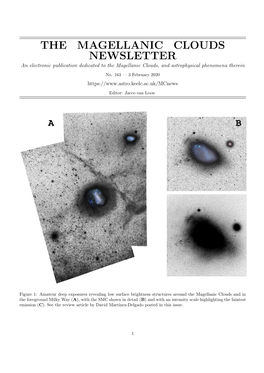 THE MAGELLANIC CLOUDS NEWSLETTER an Electronic Publication Dedicated to the Magellanic Clouds, and Astrophysical Phenomena Therein