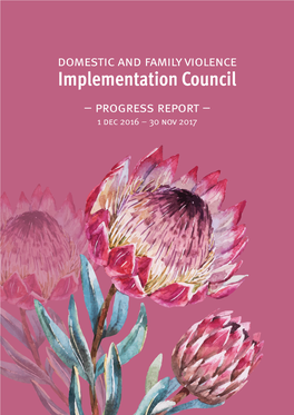 DAFV Implementation Council Progress Report 2017