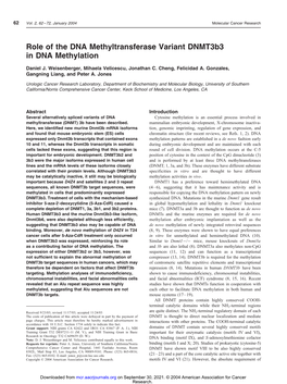 Role of the DNA Methyltransferase Variant Dnmt3b3 in DNA Methylation