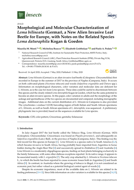Morphological and Molecular Characterization of Lema Bilineata