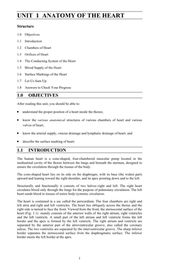Unit 1 Anatomy of the Heart
