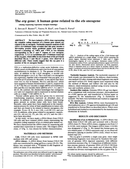 The Erg Gene: a Human Gene Related to the Ets Oncogene (Cloning/Sequencing/Expression/Oncogene Homology) E