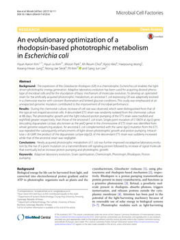 An Evolutionary Optimization of a Rhodopsin-Based Phototrophic