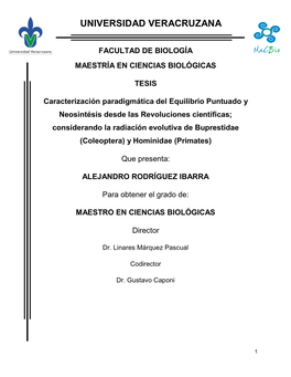 Rodriguezibarraa.Pdf