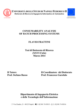 CONSUMABILITY ANALYSIS of BATCH PROCESSING SYSTEMS FLAVIO FRATTINI Tesi Di Dottorato Di Ricerca