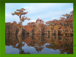 Caddo Lake Watershed and Environmental Flows