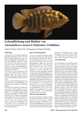 Lebendfärbung Und Habitat Von Australoheros Tavaresi (Teleostei: Cichlidae) Felipe P