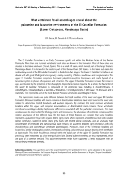 What Vertebrate Fossil Assemblages Reveal About the Palustrine and Lacustrine Environments of the El Castellar Formation (Lower Cretaceous, Maestrazgo Basin)