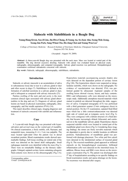 Sialocele with Sialolithiasis in a Beagle Dog