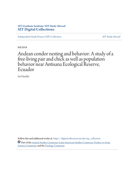 Andean Condor Nesting and Behavior: a Study of a Free-Living Pair and Chick As Well As Population Behavior Near Antisana Ecological Reserve, Ecuador Ian Handler