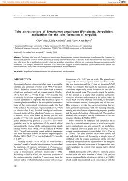 Tube Ultrastructure of Pomatoceros Americanus (Polychaeta, Serpulidae): Implications for the Tube Formation of Serpulids