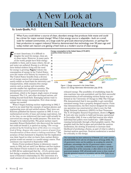 A New Look at Molten Salt Reactors By: Louis Qualls, Ph.D