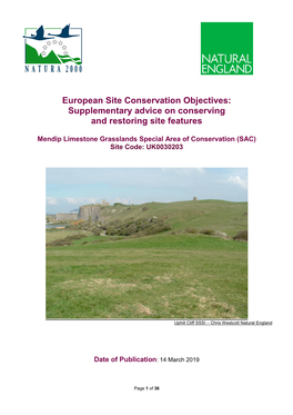 Supplementary Advice on Conserving and Restoring Site Features