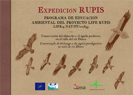 Guía De Aves Rapaces De Arribes Del Duero