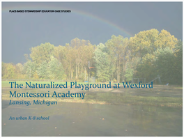 The Naturalized Playground at Wexford Academy, Lansing