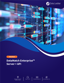 Base De Datos Como En Un Motor De Búsqueda? Datamatch Enterprise™ Server + API De Data Ladder, Encuentra Los Datos Correctos, Incluso Con Información Incompleta