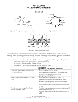 Ap® Biology 2015 Scoring Guidelines