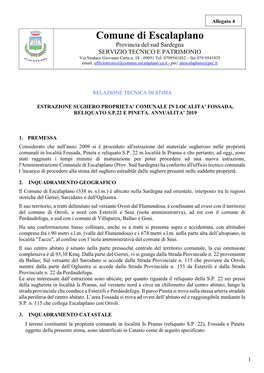 Comune Di Escalaplano Provincia Del Sud Sardegna SERVIZIO TECNICO E PATRIMONIO Via Sindaco Giovanni Carta N