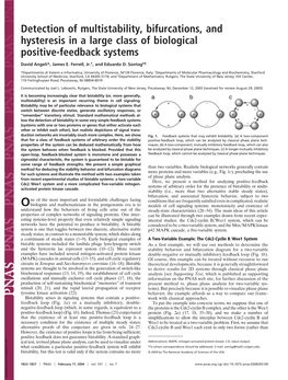 Detection of Multistability, Bifurcations, and Hysteresis in a Large Class of Biological Positive-Feedback Systems