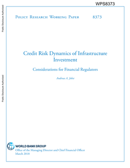 Credit Risk Dynamics of Infrastructure Investment