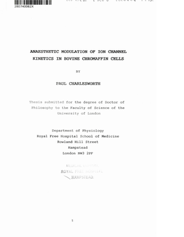 Anaesthetic Modulation of Ion Channel Kinetics in Bovine Chromaffin Cells