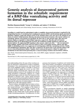 Genetic Analysis of Dorsoventral Pattern Formation in the Zebrafish: Requirement of a BMP-Like Ventralizing Activity and Its Dorsal Repressor