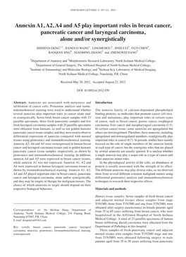 Annexin A1, A2, A4 and A5 Play Important Roles in Breast Cancer, Pancreatic Cancer and Laryngeal Carcinoma, Alone And/Or Synergistically