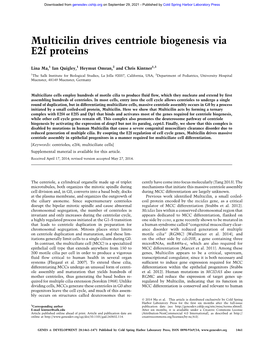 Multicilin Drives Centriole Biogenesis Via E2f Proteins