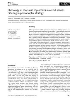 Phenology of Roots and Mycorrhiza in Orchid Species Differing In