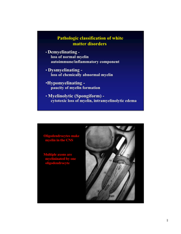 Pathologic Classification of White Matter Disorders • Demyelinating