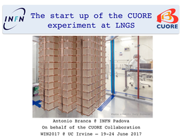 The Start up of the CUORE Experiment at LNGS CUORE