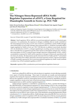 The Nitrogen Stress-Repressed Srna Nsrr1 Regulates Expression of All1871, a Gene Required for Diazotrophic Growth in Nostoc Sp