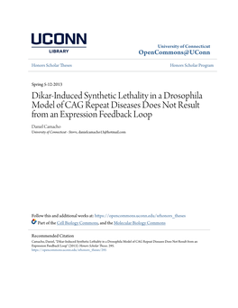 Dikar-Induced Synthetic Lethality in a Drosophila Model of CAG Repeat