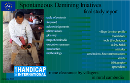 Spontaneous Demining Iniatives