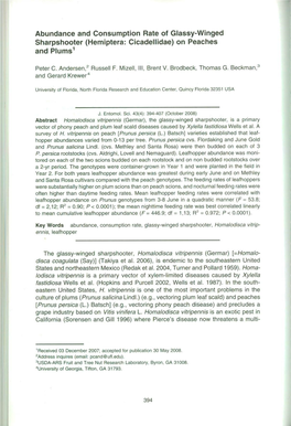 Abundance and Consumption Rate of Glassy-Winged Sharpshooter (Hemiptera: Cicadellidae) on Peaches and Plums