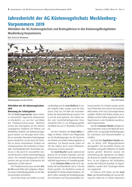 Jahresbericht Der AG Küstenvogelschutz Mecklenburg-Vorpommern 2019