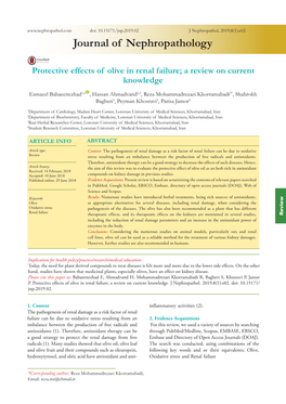 Journal of Nephropathology