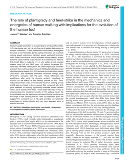 The Role of Plantigrady and Heel-Strike in the Mechanics and Energetics of Human Walking with Implications for the Evolution of the Human Foot James T