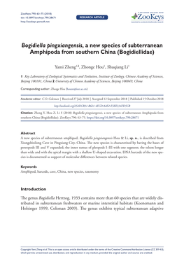 Bogidiella Pingxiangensis, a New Species of Subterranean Amphipoda from Southern China (Bogidiellidae)