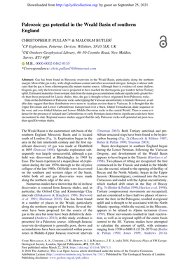 Paleozoic Gas Potential in the Weald Basin of Southern England